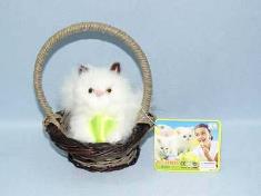 竹篮抱球猫