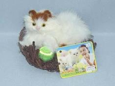 草窝抱球猫