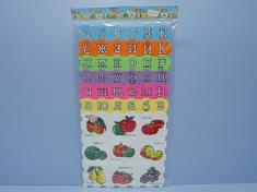 俄文水果/俄文36PCS